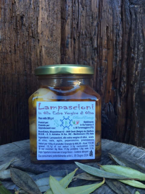 lampascioni in olio extra vergine 